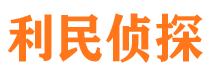 梅里斯侦探公司